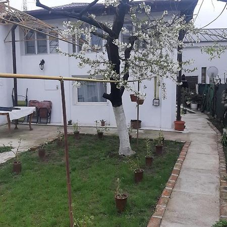 House Hotel Craiova Ngoại thất bức ảnh