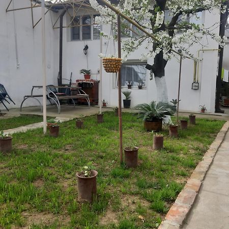 House Hotel Craiova Ngoại thất bức ảnh