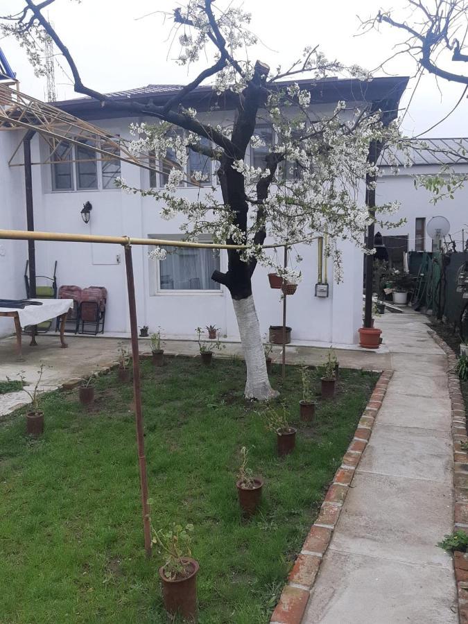 House Hotel Craiova Ngoại thất bức ảnh