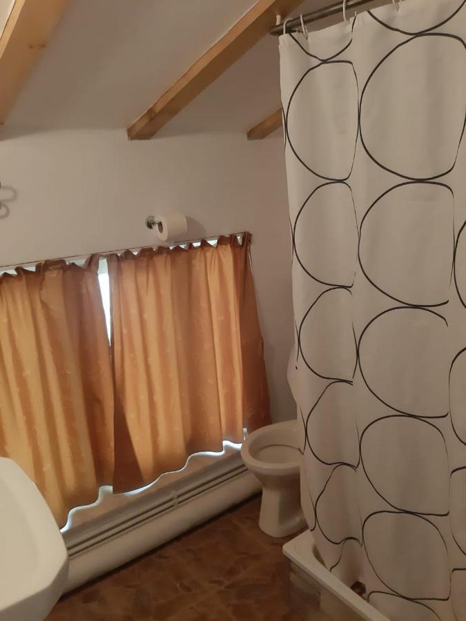 House Hotel Craiova Ngoại thất bức ảnh